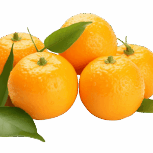 Premium Fresh Navel Oranges